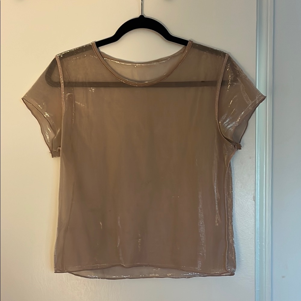 Sheer Blush Pink Women's Top